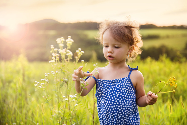 Little girl is playing in meadow - Photo, Image