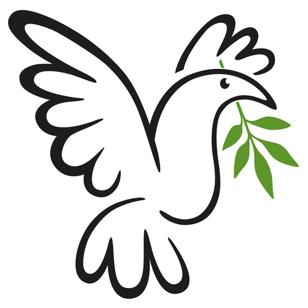 Peace concept with line drawing of a dove holding the symbol of the olive branch in its beak. - Vector, Imagen