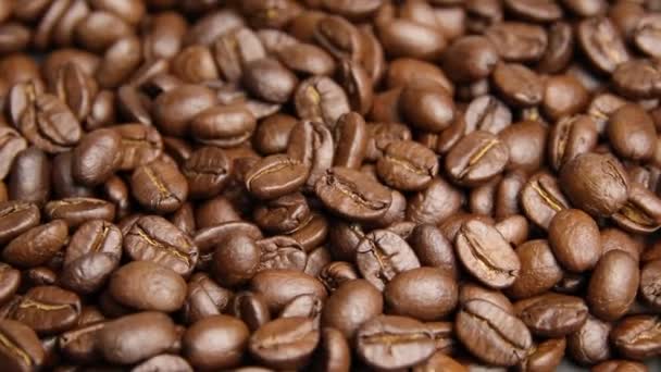 焙煎したコーヒー豆の背景。コーヒー豆 - 映像、動画