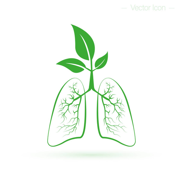 Poumons humains sains. Santé, air pur et concept de protection des forêts. Illustration vectorielle isolée - Vecteur, image