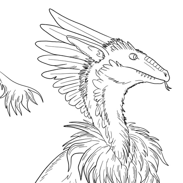 Dibujos para colorear en blanco y negro ilustración de tinta de un dragón. - Foto, imagen