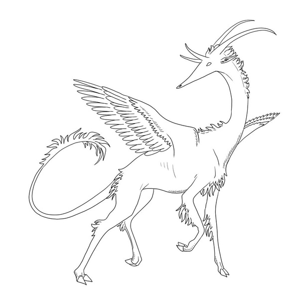 Tinta de página de coloração preto e branco ilustração de um dragão. - Foto, Imagem
