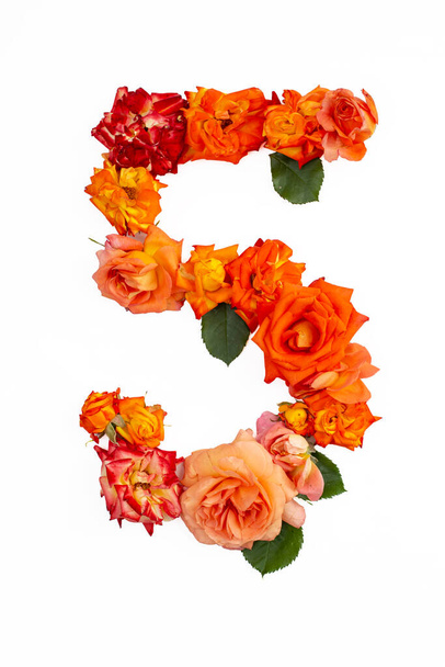 Номер пять сделан из настоящих красных оранжевых роз, выделенных на белом фоне. 5 - Фото, изображение