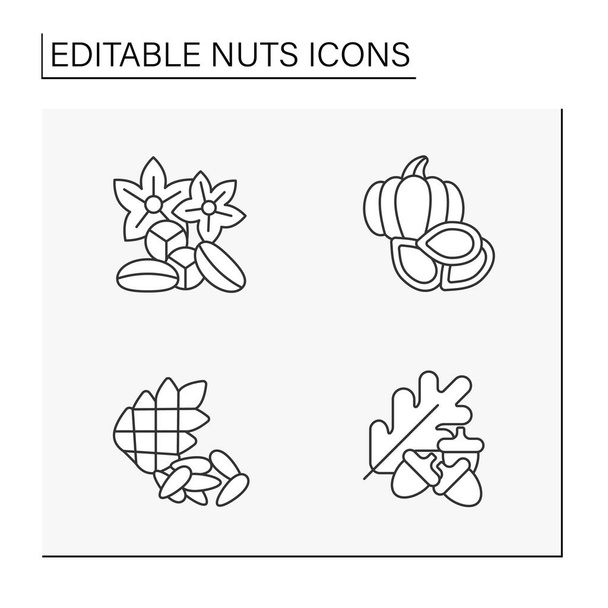  Ikony oříšků nastaveny. Kolové a borové ořechy, dýňová semínka.Složky pro přípravu potravin.Vyvážený výživový koncept. Izolovaná vektorová ilustrace. Upravitelný tah - Vektor, obrázek