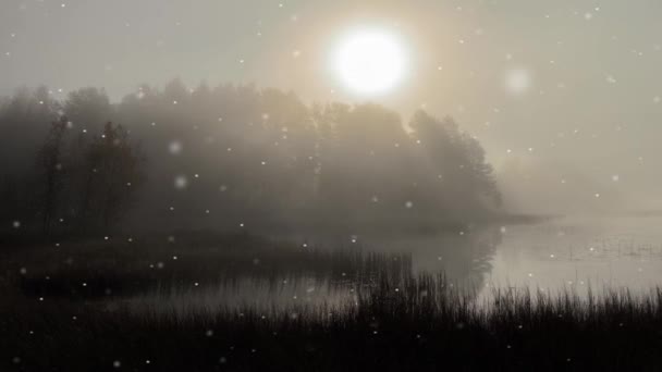 Paisaje de invierno borroso con lago en sol sombrío - Imágenes, Vídeo
