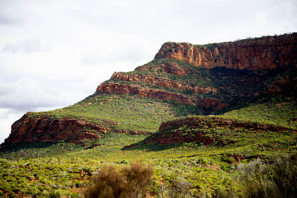 Εθνικό Πάρκο Ikara-Flinders Ranges - Αυστραλία - Φωτογραφία, εικόνα