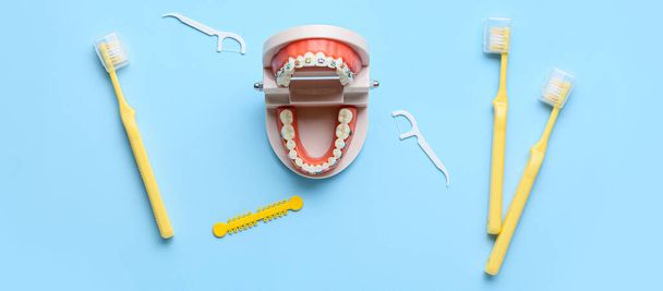 Kiefermodell mit Zahnspangen, Zahnstochern und Bürsten auf hellblauem Hintergrund - Foto, Bild