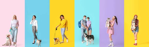 Набор людей с милыми собаками на красочном фоне. День дружбы - Фото, изображение