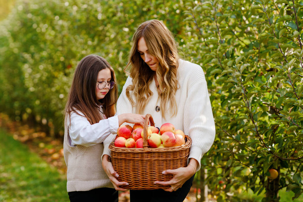 Boldog iskolás lányt és gyönyörű anyát vörös almával az organikus gyümölcsösben. Boldog nő és lánya szedés érett gyümölcsöt fák és szórakozás a kertben. A család betakarítási időszaka - Fotó, kép