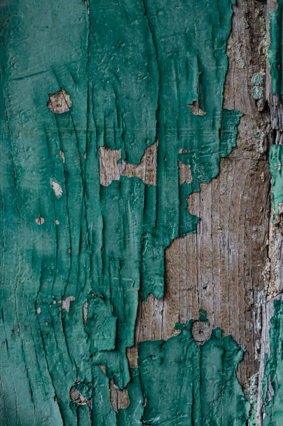 Oude houten achtergrond textuur. Oud armoedig bord, reliëf en uitgesproken tekening van dichtbij. Geschilde oude groene verf - Foto, afbeelding