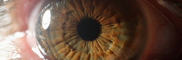 Közelről gyönyörű barna zöld emberi szem. Nyomozóiroda fogalma - Fotó, kép