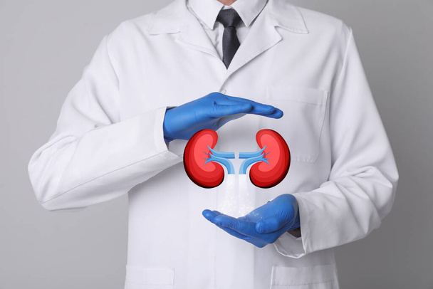 Closeup view of doctor and illustration of kidneys on light grey background - Foto, imagen
