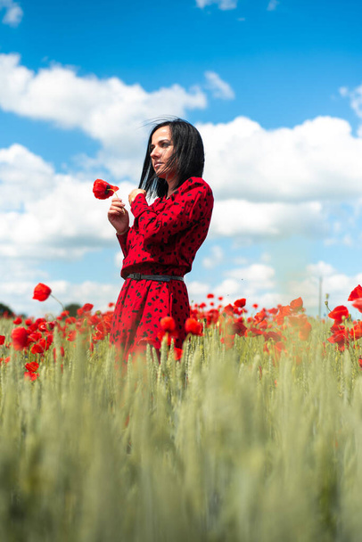 Romantická žena s květinou v ruce mák pole - Fotografie, Obrázek