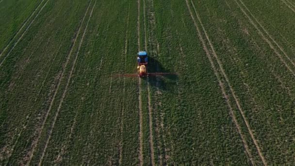 Granja tractor pulverización fertilizar o pesticida en el campo agrícola para una buena cosecha, vista aérea - Imágenes, Vídeo