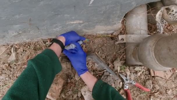 Usuwanie chwastów strzykawką z herbicydami i rękawicami - Materiał filmowy, wideo