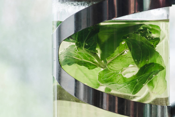窓辺のフレンチプレスで淹れた新鮮なミントの葉を使った緑茶。コピースペース付きホットミントティークローズ - 写真・画像