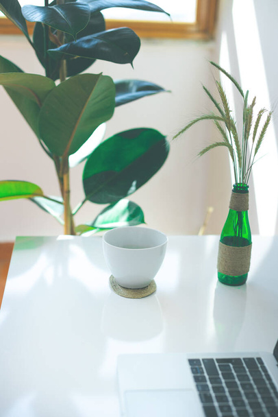 Freelancer workplace, laptop, coffee cup and potted plant on white table, modern office - Photo, Image