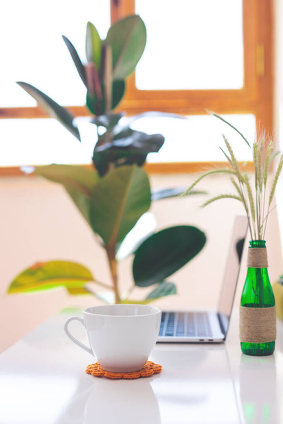 Lieu de travail indépendant, ordinateur portable, tasse à café et plante en pot sur table blanche, bureau moderne - Photo, image