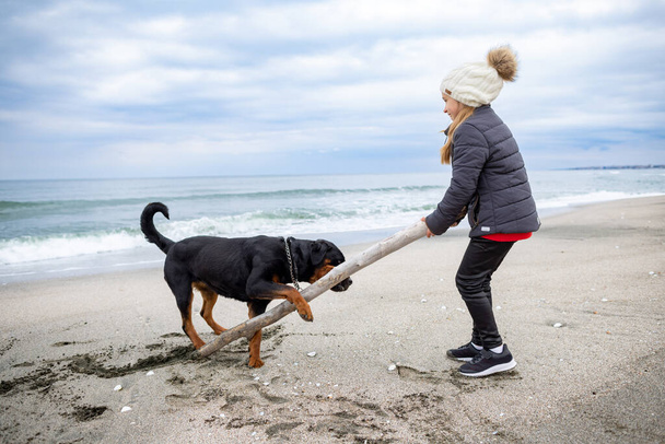 Happy little skinny girl in warm clothes plays with a big dry curve stick with her big faithful funny dog of the Rottweiler breed, in cold cloudy weather on a sandy sea wild beach - Foto, Bild
