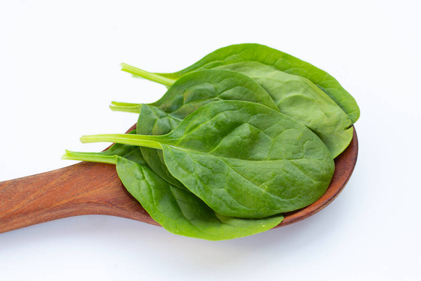 Шпинат листья. Чрезвычайно богатый питательными веществами овощ - Фото, изображение