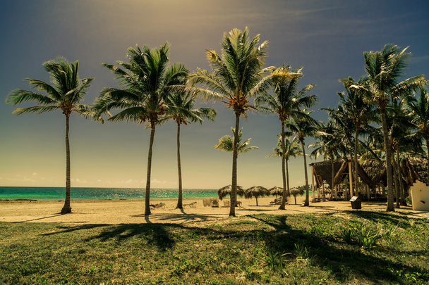 Twilight trooppinen ranta ja valtameri ihmisten kanssa taustalla Kuuban Cayo Coco saarella
 - Valokuva, kuva