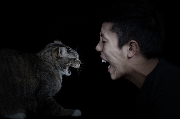 Irritado Gato e Homem
  - Foto, Imagem