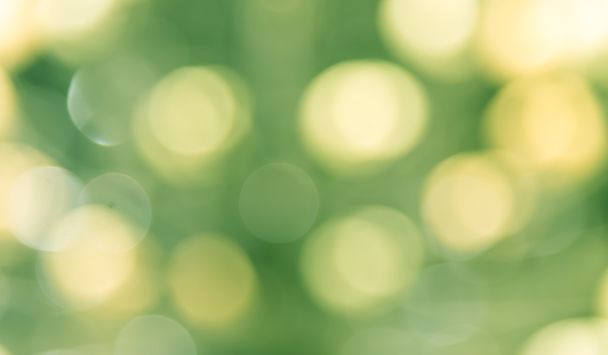 Defocused of yellow and green bokeh  background - Photo, Image