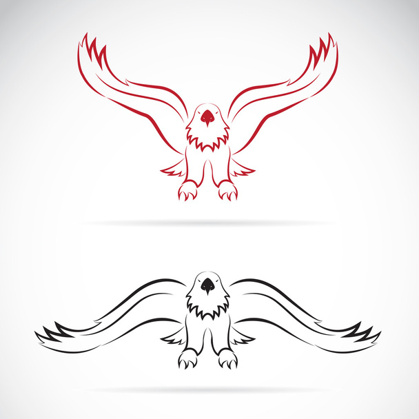 Image vectorielle d'un aigle sur fond blanc - Vecteur, image