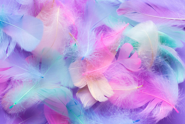 Background with decorative elements of multi-colored feathers, pink, blue, mint colors. High quality photo - Fotoğraf, Görsel