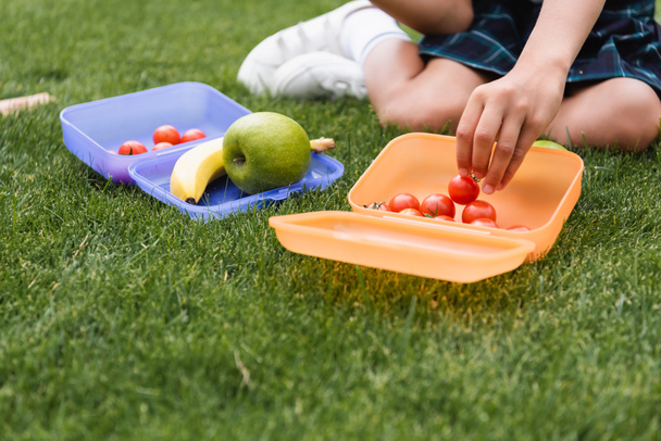 Vue recadrée de l'écolière prenant la tomate cerise de la boîte à lunch sur l'herbe  - Photo, image