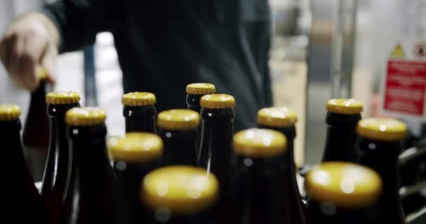 Plastic crates full of freshly brewed beer bottles on a factory pipeline. Conveyor belt of a brewery - Felvétel, videó