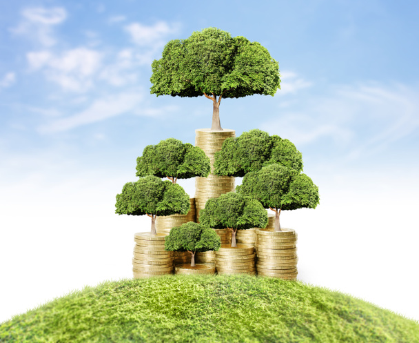  Geldbaum wächst aus Geld  - Foto, Bild
