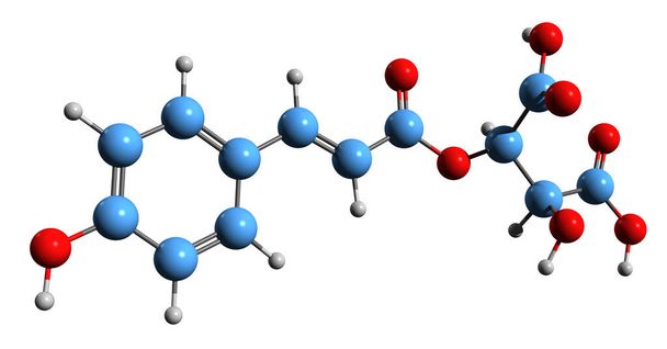 3D-Aufnahme der Skelettformel der Coutarsäure - molekulare chemische Struktur der Hydroxycinnamoyltartarsäure isoliert auf weißem Hintergrund - Foto, Bild