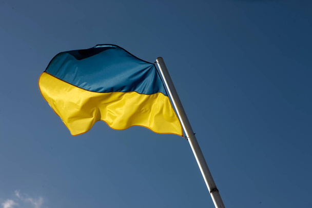 Vlající vlajka Ukrajiny proti modré obloze. - Fotografie, Obrázek