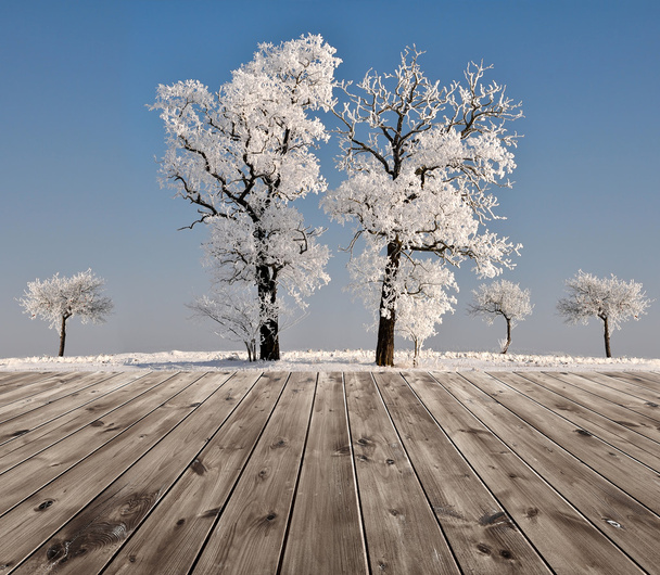 gyönyörű téli táj fákkal - Fotó, kép