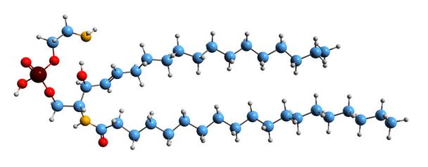 3D изображение скелетной формулы церамида фосфорилтаноламина - молекулярная химическая структура сфингозина, выделенная на белом фоне - Фото, изображение