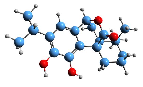 3D зображення карнозольної скелетної формули - молекулярна хімічна структура фенолічного дитерпену ізольована на білому тлі. - Фото, зображення