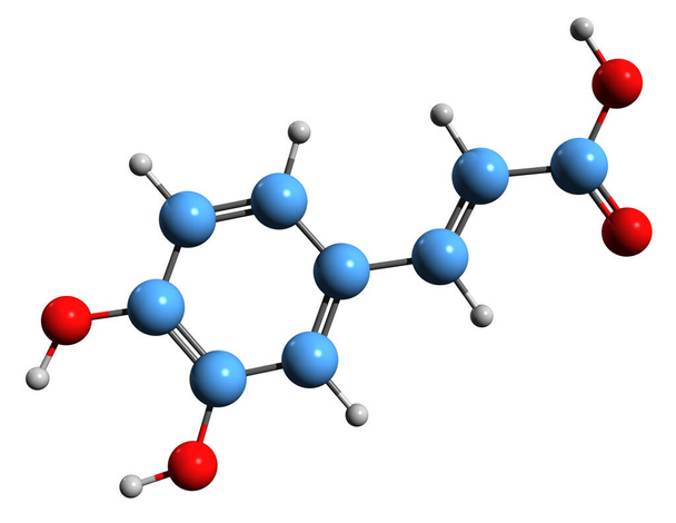 Kofeiinihapon luurankokaavan 3D-kuva - valkoisella pohjalla eristetyn hydroksikanelihapon molekyylikemiallinen rakenne - Valokuva, kuva