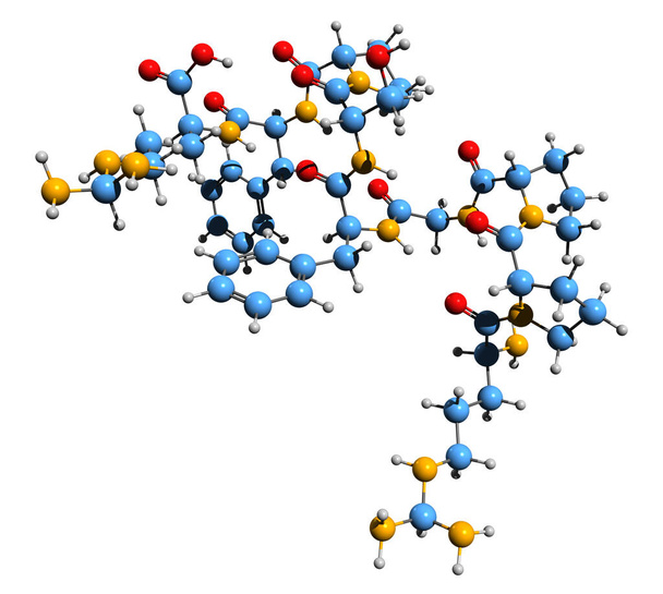  Immagine 3D della formula scheletrica della bradichinina - struttura chimica molecolare del peptide infiammatorio isolato su sfondo bianco - Foto, immagini
