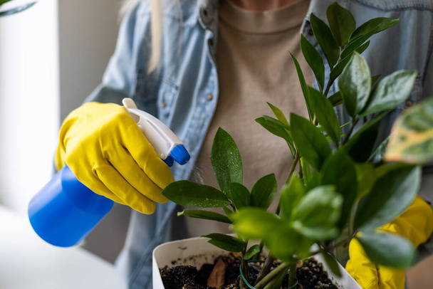 χαρούμενα νεαρή γυναίκα ανθοπώλης ψεκασμό νερού σε φυτά εσωτερικού χώρου σε γλάστρα με ψεκαστήρα. Χαρούμενη γυναίκα κηπουρός ψεκάζοντας πράσινα φύλλα των λουλουδιών του σπιτιού χρησιμοποιώντας μπουκάλι ψεκασμού - Φωτογραφία, εικόνα