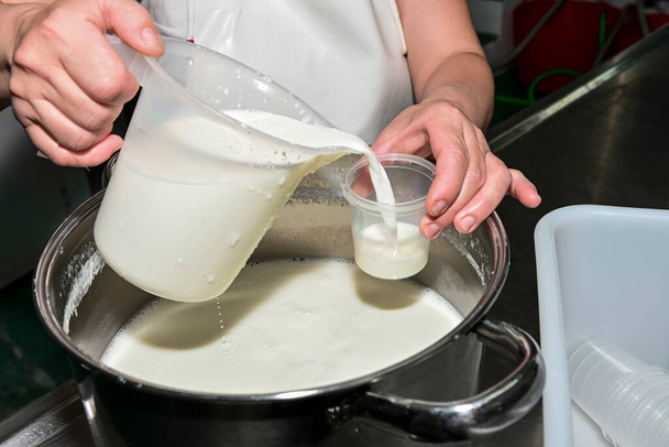 Elaborazione di yogurt naturale con latte di capra. - Foto, immagini