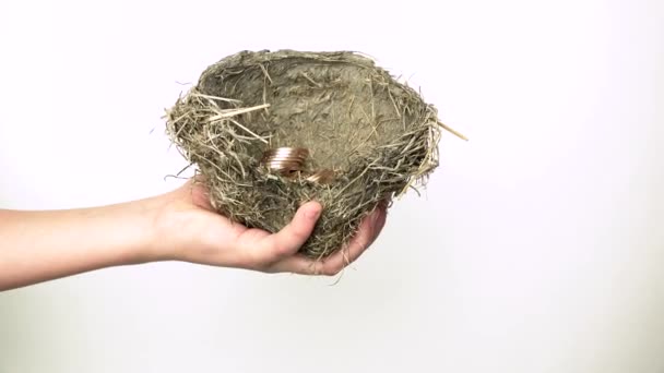 Man's Hands Dump Money Coins Out of Nest - Felvétel, videó