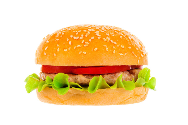白い背景の上の大きなハンバーガー - 写真・画像