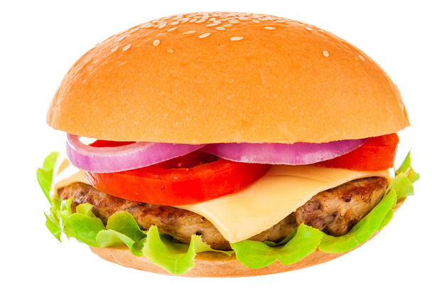 Grande hamburger su sfondo bianco
 - Foto, immagini