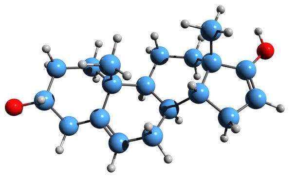  3D-Aufnahme der Androstadienol-Skelettformel - molekulare chemische Struktur des körpereigenen Steroids isoliert auf weißem Hintergrund - Foto, Bild