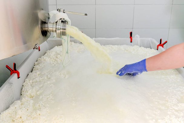 On the processing table, the whey is separated from the curd. - Foto, immagini