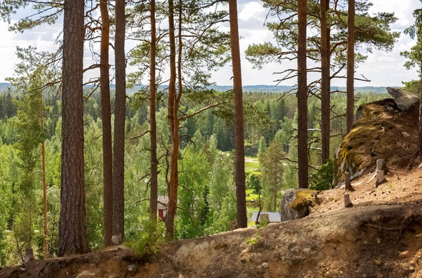 Forest on the top of the mountain. The nature of the north. Poster. Photo - Valokuva, kuva