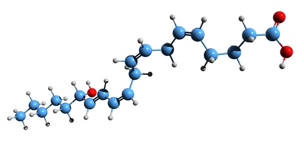 Imagen 3D de 15-Hydroxyeicosatetraenoic acid skeletal formula - estructura química molecular de 15-HETE aislada sobre fondo blanco - Foto, imagen