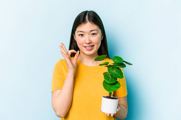 Nuori aasialainen nainen tilalla kasvi eristetty sinisellä taustalla iloinen ja luottavainen osoittaa ok ele. - Valokuva, kuva