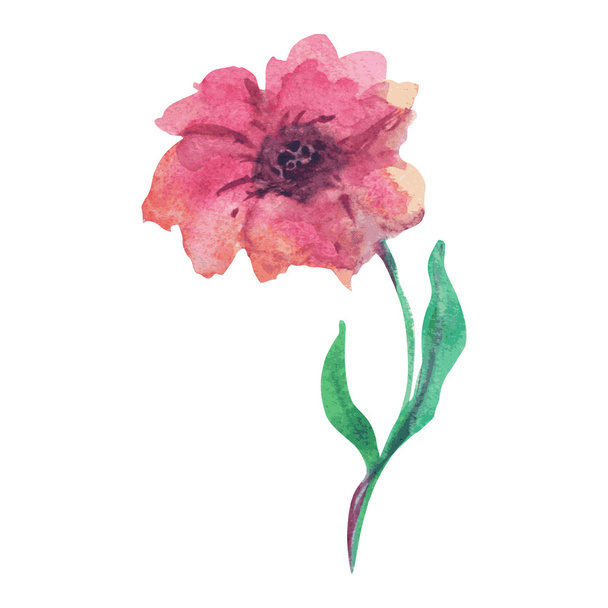 watercolor flower - Vecteur, image